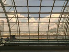 -味千拉面(广州白云机场T1西二店)