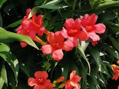 -南通洲际绿博园