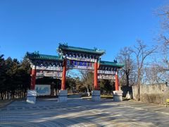 -云岗森林公园