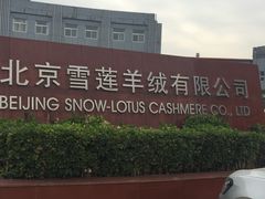 -雪莲品牌工厂店