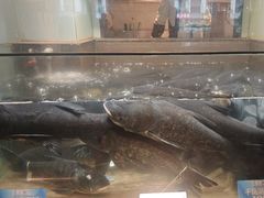 -上名堂·鱼头好吃(体育场路店)