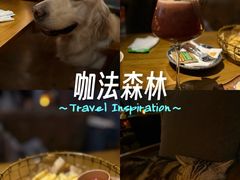 -咖法森林·咖啡  酒吧(天河店)