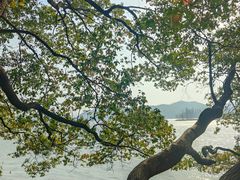 -东湖落雁景区