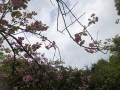 -南山植物园