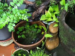 -三峡古玩城(泰古广场店)