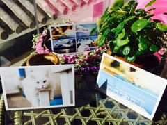 iphone_upload_pic-Anne猫窝咖啡屋