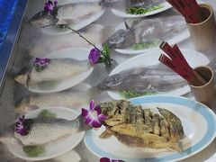 -老东家民间菜(迎宾路店)