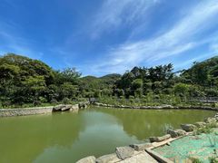 -广州市帽峰山景区