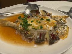 -金苑海鲜酒家(来魅力店)