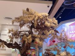 -九毛九西北菜(番禺万达店)
