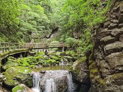 -牛背梁国家森林公园