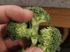 -龍歌自助小火锅(城阳万象汇店)