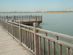 -天津东丽湖风景区