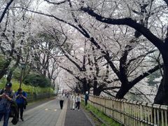 -名古屋城
