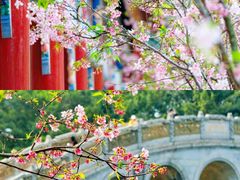 -宝墨园景区