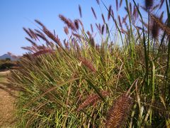 -北京东方普罗旺斯薰衣草庄园