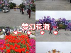 -厦门园林博览苑