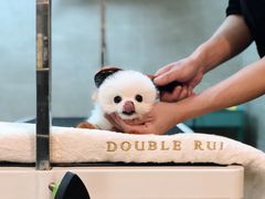 -Double Rui宠物酒店