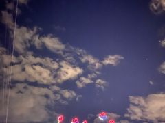 -荷兰花海