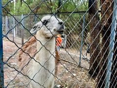 -长白岛森林公园