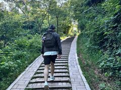 -青龙山国家森林公园
