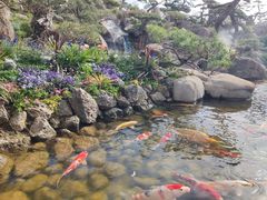 -罗红摄影艺术馆