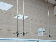 -北京观赏动物医院·24小时大型综合·猫专科·异宠专科