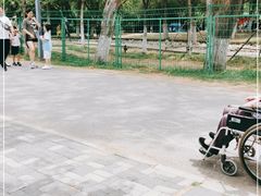 -长白岛森林公园