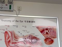 -自然之声助听器·呼吸机(翠微大厦店)