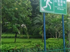-映月湖公园