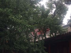 -承恩寺