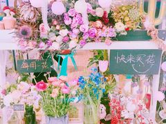 景观位-随心小姐