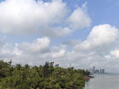 -万绿园