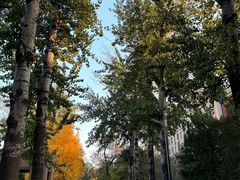 -中国农业大学(西校区)
