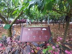 -歌斐颂巧克力小镇