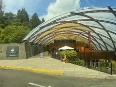 -怀托摩萤火虫洞