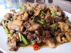 -生态苑农庄(十里画廊遇龙河店)