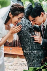 -巴黎春天·菀纱仙庭婚纱美学