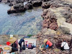 -西涌国际滨海旅游区