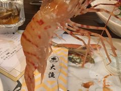 -大渔铁板烧(大悦城店)