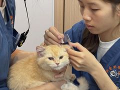 -阿荣24H宠物医院·综合型转诊中心·CT·核磁影像中心