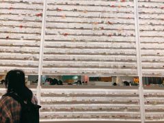 -KKV(深圳宏发大仟里店)