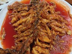金毛狮子鱼-天然居文化美食城(浮阳大道店)