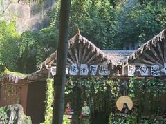 -西双版纳原始森林公园