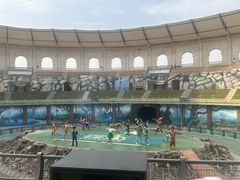 -泉城欧乐堡梦幻世界