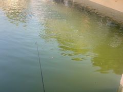-DGE季风钓虾营地·团建·聚会