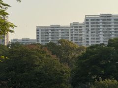 -屯门公园