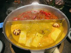 红颜花胶鸡锅-湊湊火锅·茶憩(新中关购物中心店)