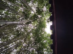-江西龙虎山景区