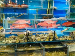 -岳各庄批发市场(西四环中路店)